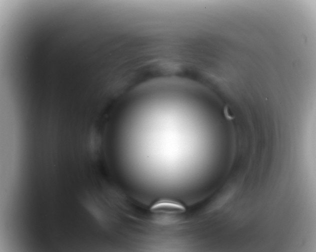 X0000088660624200706011241