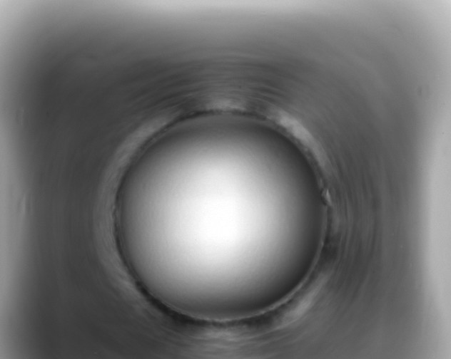 X0000088660625200706011240