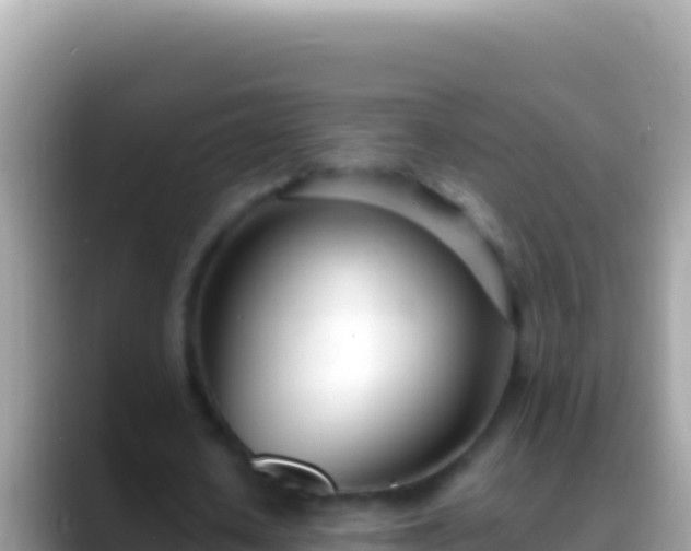 X0000088660626200706011240