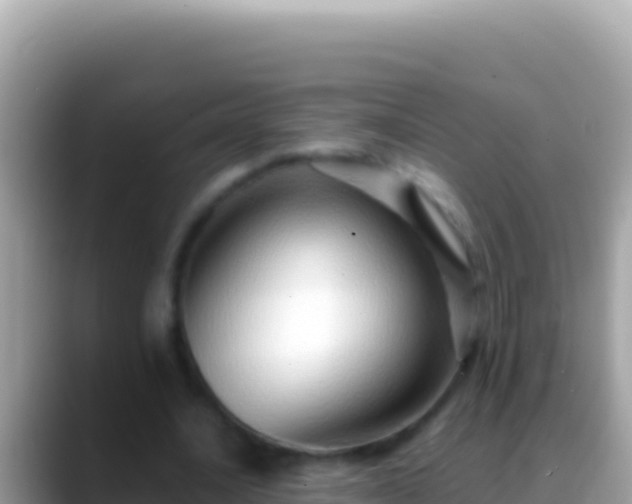 X0000088660628200706011240