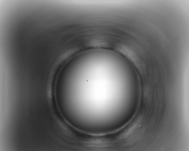 X0000088660629200706011240