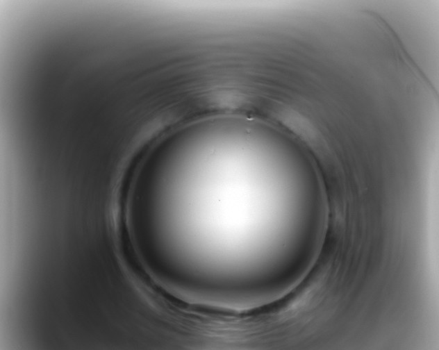 X0000088660630200706011240