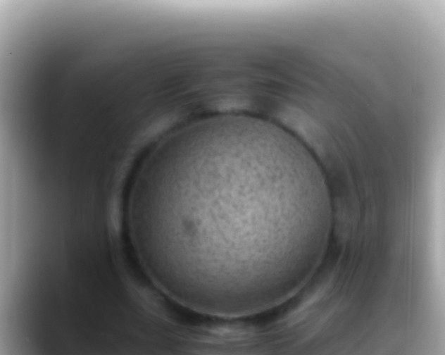 X0000088660631200706011240