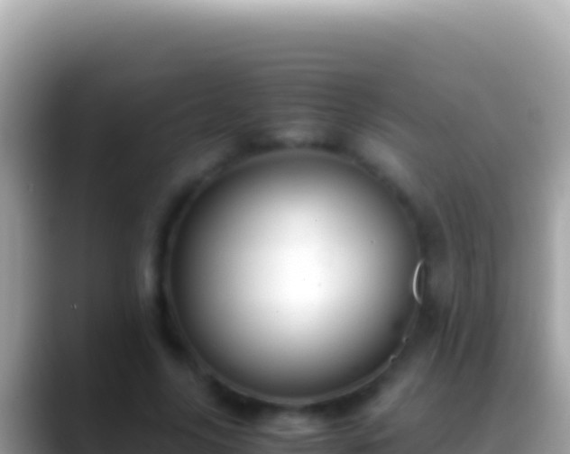 X0000088660635200706011240