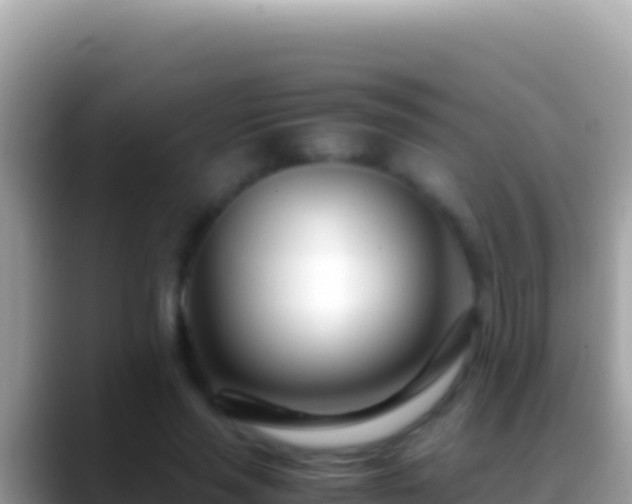 X0000088660637200706011240