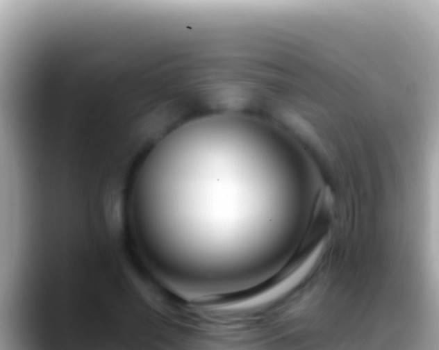 X0000088660638200706011240