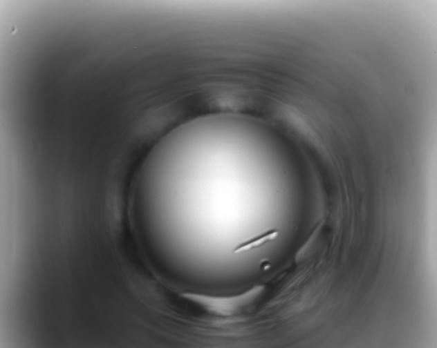 X0000088660639200706011240