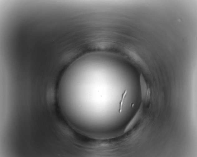 X0000088660640200706011240