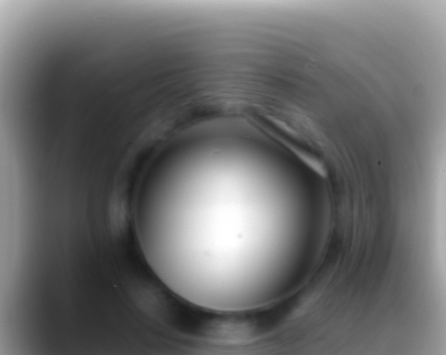 X0000088660644200706011240