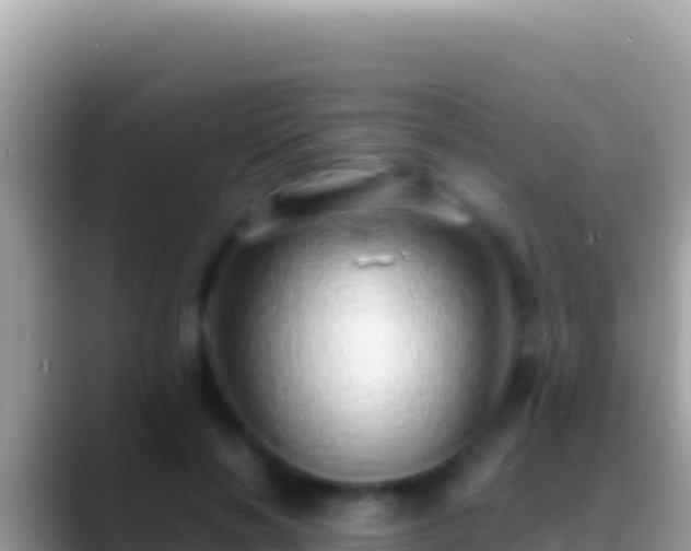 X0000088660646200706011240