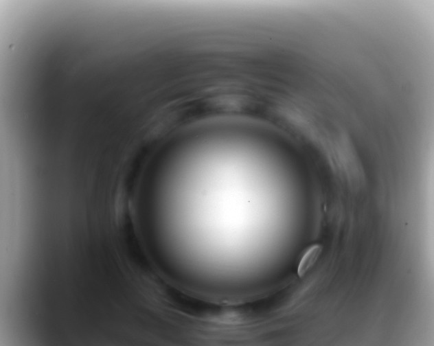 X0000088660647200706011240