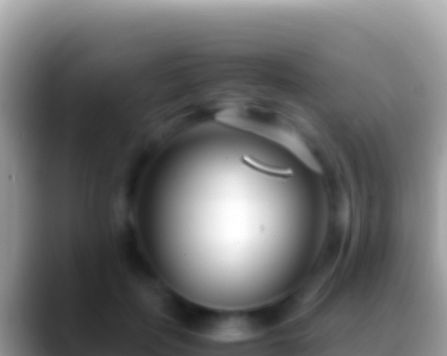 X0000088660651200706011240