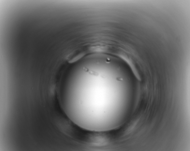 X0000088660652200706011240