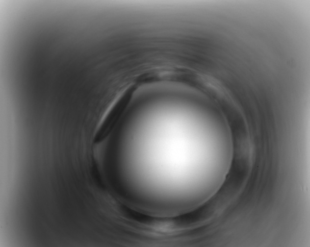 X0000088660653200706011240