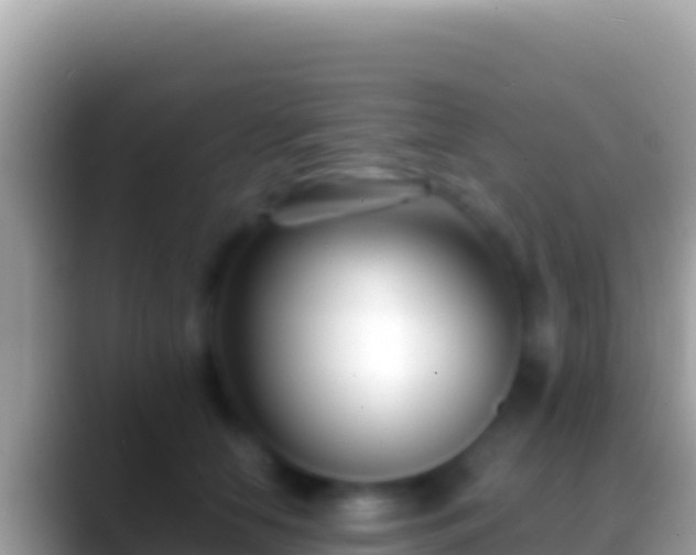 X0000088660658200706011241