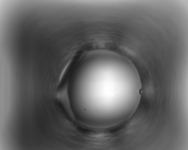 X0000088660661200706011241