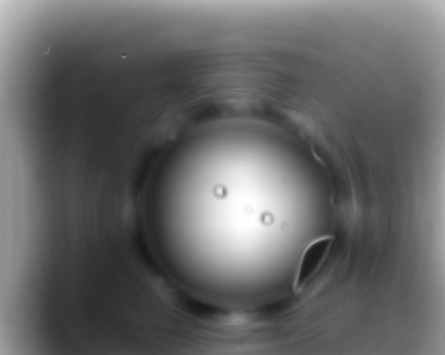 X0000088660662200706011241