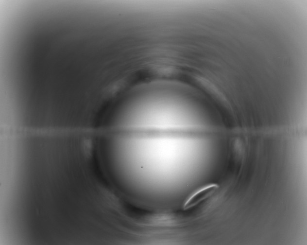 X0000088660668200706011241