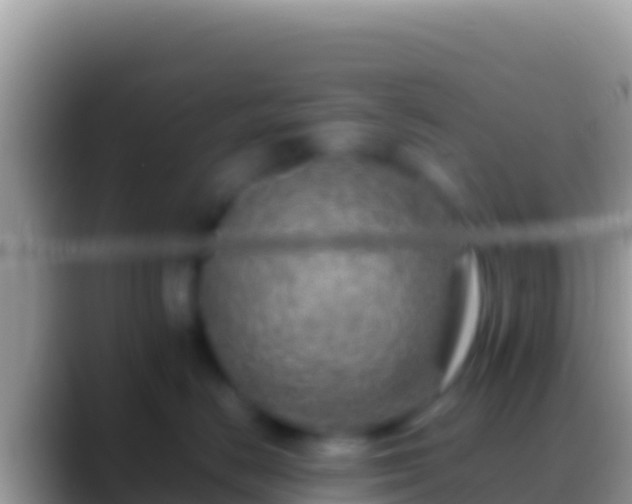 X0000088660670200706011241