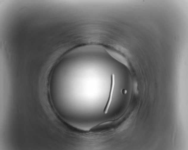 X0000088660673200706011240