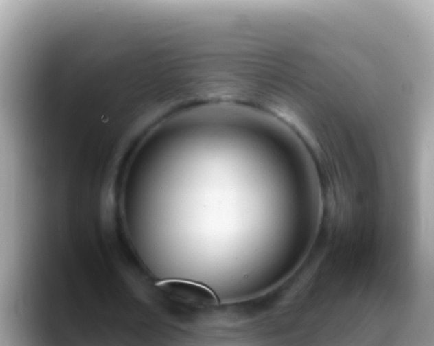 X0000088660674200706011240