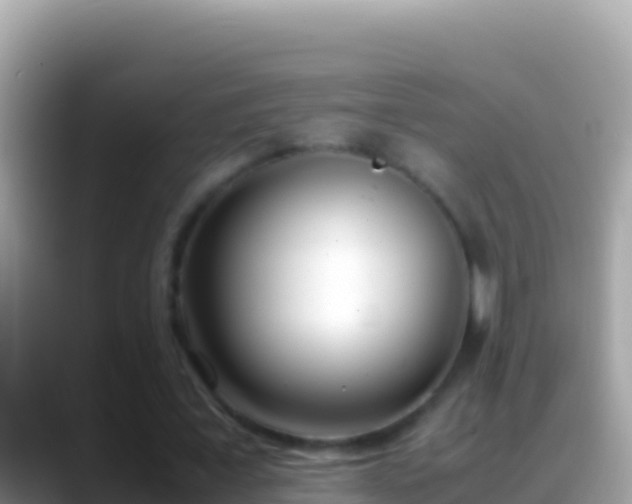 X0000088660675200706011240