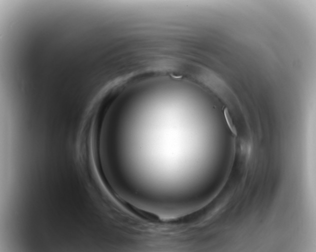 X0000088660676200706011240