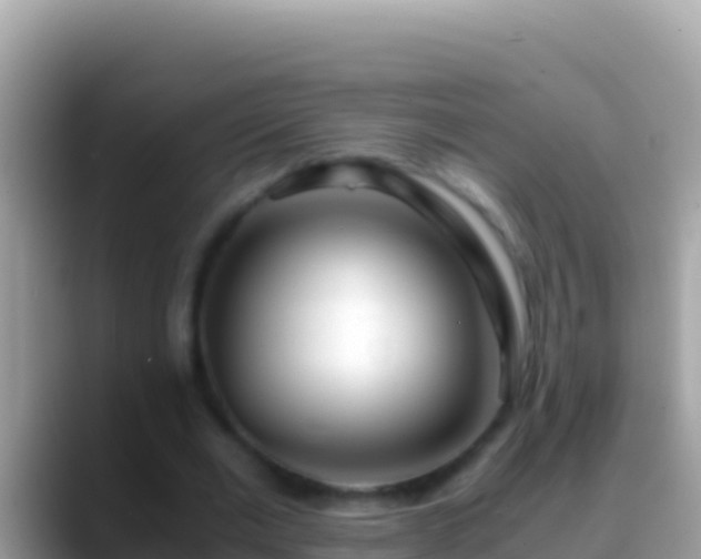 X0000088660677200706011240