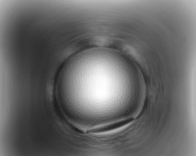 X0000088660679200706011240