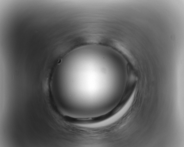 X0000088660681200706011240