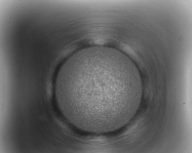 X0000088660683200706011240