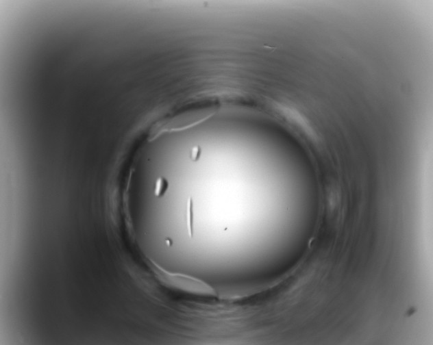 X0000088660684200706011240