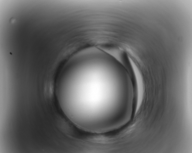 X0000088660685200706011240