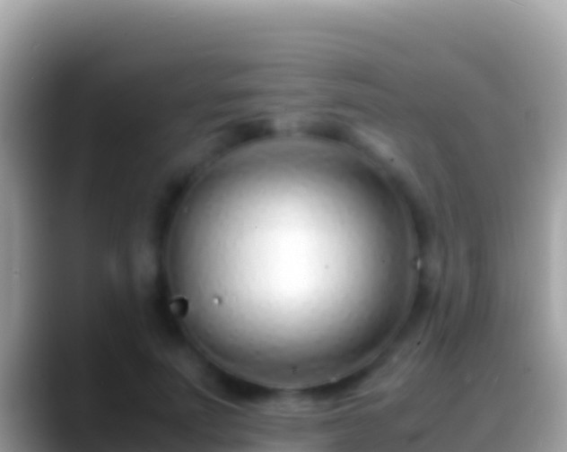 X0000088660691200706011240