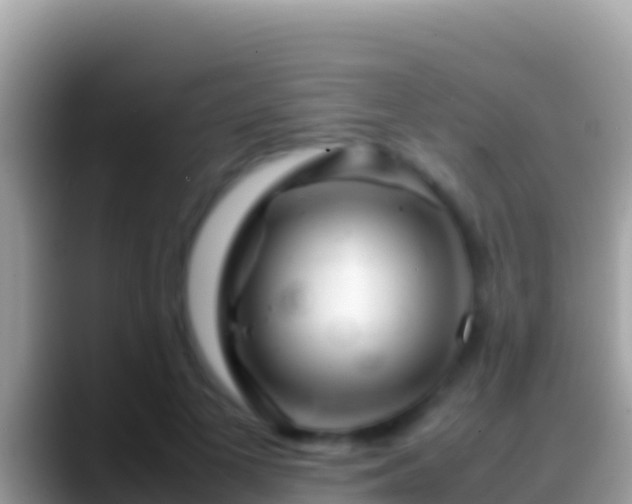 X0000088660693200706011240