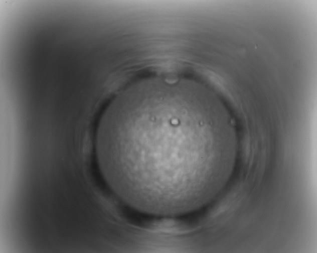 X0000088660695200706011240