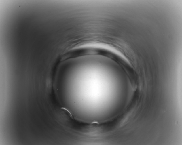 X0000088660697200706011240