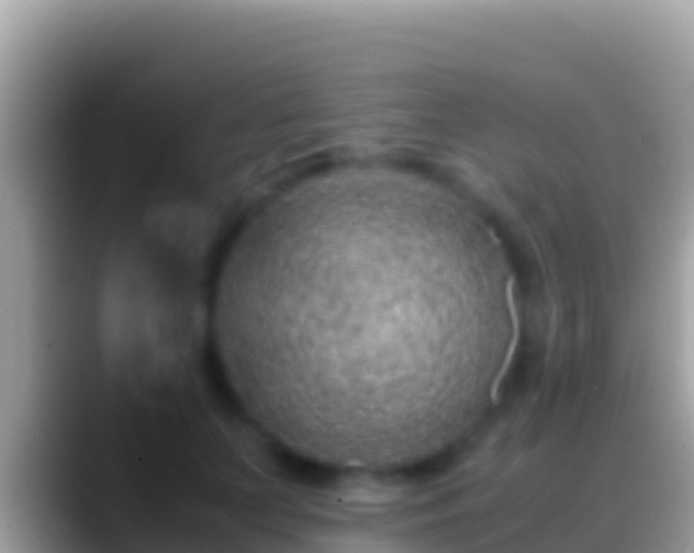 X0000088660703200706011240