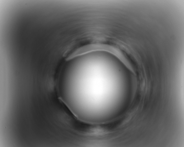 X0000088660704200706011240