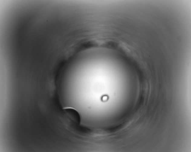 X0000088660707200706011240