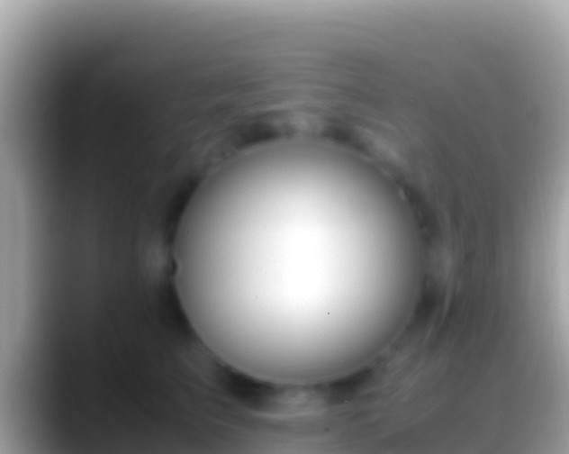 X0000088660709200706011240