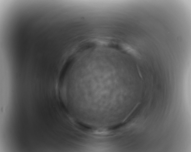 X0000088660720200706011240