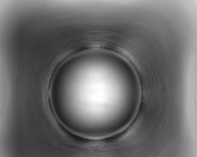 X0000088660721200706011239