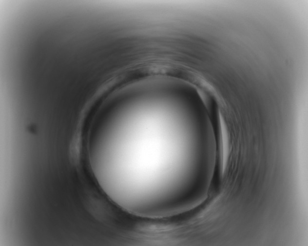 X0000088660722200706011239