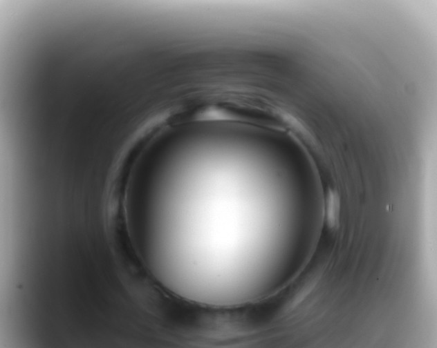 X0000088660723200706011239