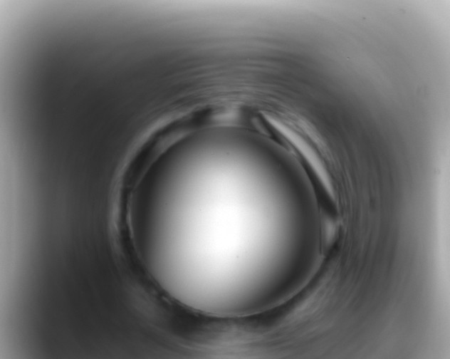 X0000088660724200706011239