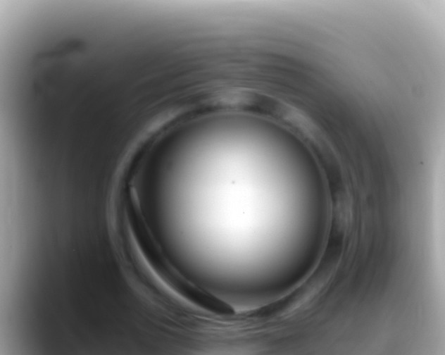 X0000088660726200706011239