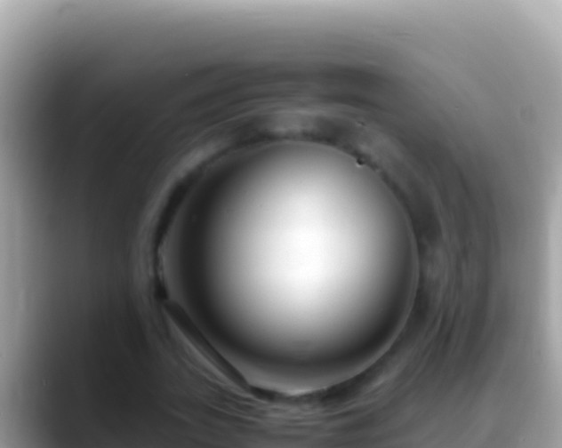 X0000088660727200706011239