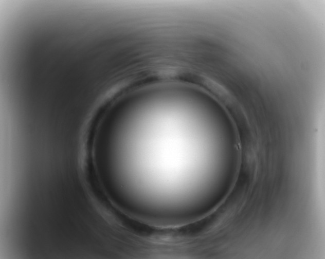 X0000088660728200706011239