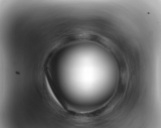 X0000088660729200706011239